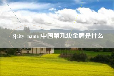 梨树县中国第九块金牌是什么