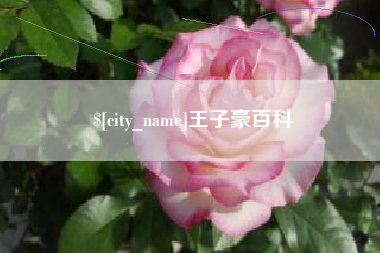 梨树县王子豪百科