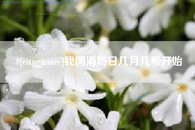 梨树县我国消防日几月几号开始