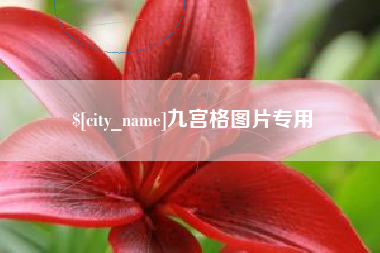梨树县九宫格图片专用