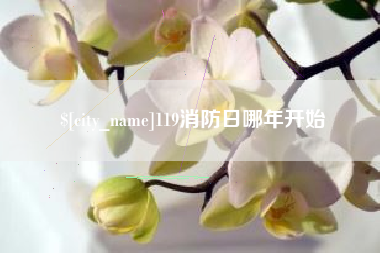 梨树县119消防日哪年开始