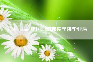 梨树县中国消防救援学院毕业后