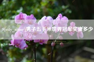梨树县男子五千米世界冠军奖金多少