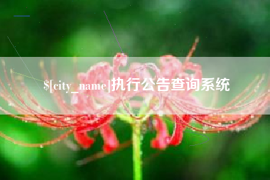 梨树县执行公告查询系统
