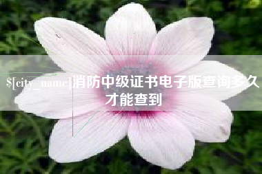 梨树县消防中级证书电子版查询多久才能查到