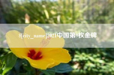 梨树县2021中国第9枚金牌