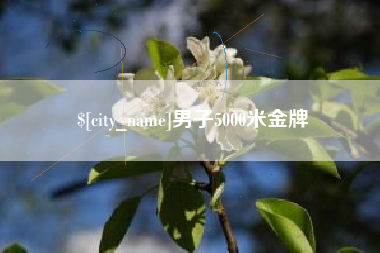 梨树县男子5000米金牌