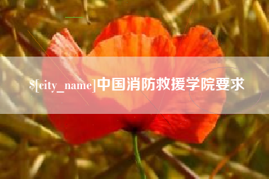 梨树县中国消防救援学院要求