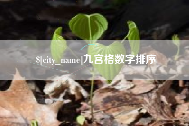 梨树县九宫格数字排序