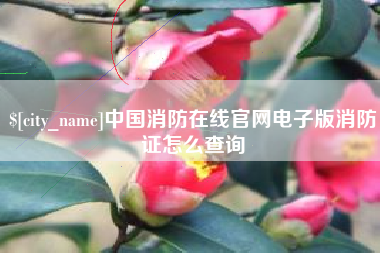 梨树县中国消防在线官网电子版消防证怎么查询