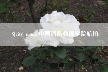 梨树县中国消防救援学院航拍