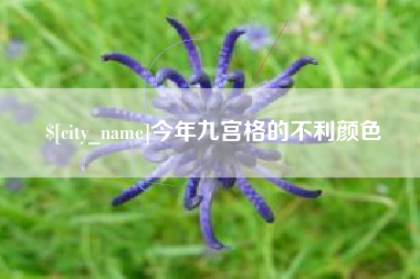 梨树县今年九宫格的不利颜色