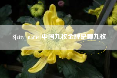 梨树县中国九枚金牌是哪九枚