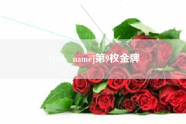 梨树县第9枚金牌