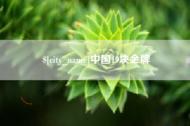 梨树县中国19块金牌
