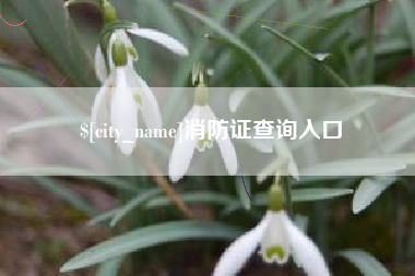 梨树县消防证查询入口