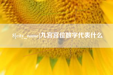 梨树县九宫宫位数字代表什么