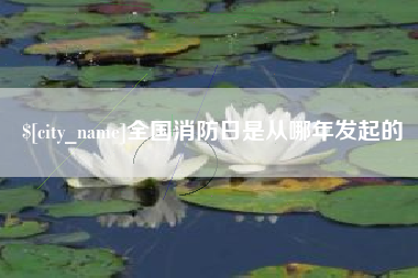 梨树县全国消防日是从哪年发起的