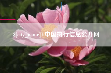 梨树县1.中国执行信息公开网