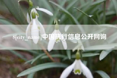 梨树县中国执行信息公开网询