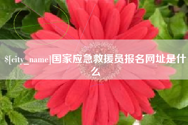 梨树县国家应急救援员报名网址是什么