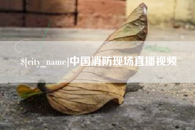 梨树县中国消防现场直播视频
