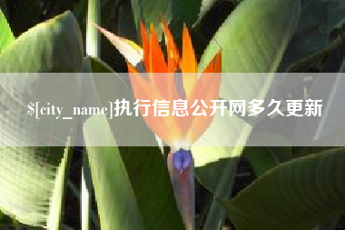 梨树县执行信息公开网多久更新