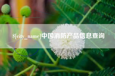 梨树县中国消防产品信息查询