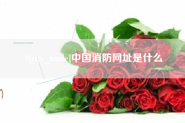 梨树县中国消防网址是什么