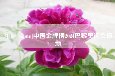 梨树县中国金牌榜2024巴黎奥运会最新