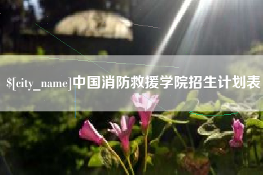 梨树县中国消防救援学院招生计划表