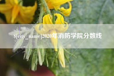 梨树县2020年消防学院分数线