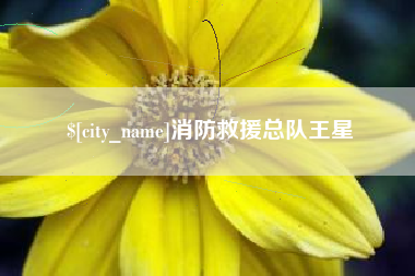 梨树县消防救援总队王星
