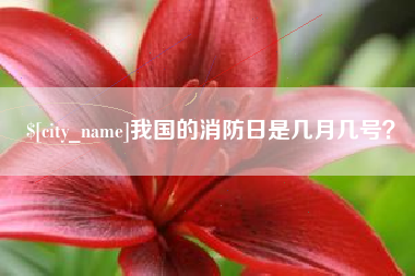 梨树县我国的消防日是几月几号？