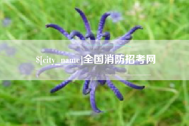 梨树县全国消防招考网
