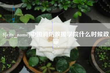 梨树县中国消防救援学院什么时候政审