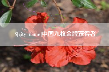 梨树县中国九枚金牌获得者