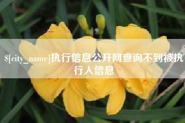 梨树县执行信息公开网查询不到被执行人信息