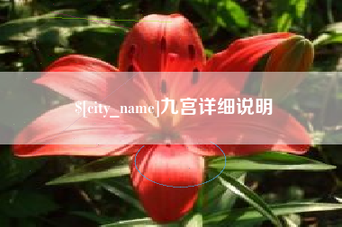 梨树县九宫详细说明