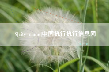 梨树县中国执行执行信息网