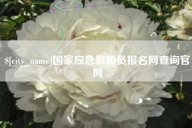 梨树县国家应急救援员报名网查询官网
