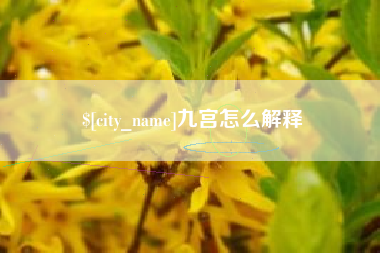 梨树县九宫怎么解释