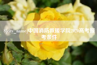 梨树县中国消防救援学院2020高考报考条件