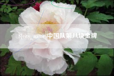 梨树县中国队第八块金牌