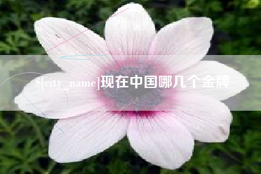 梨树县现在中国哪几个金牌