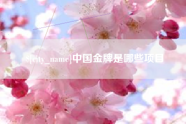梨树县中国金牌是哪些项目