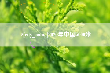 梨树县2020年中国5000米