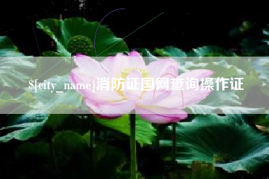 梨树县消防证国网查询操作证