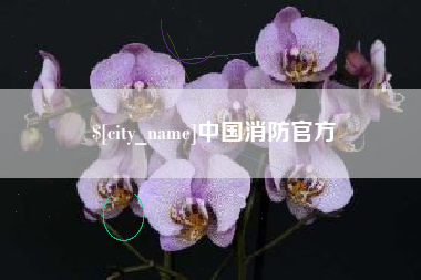 梨树县中国消防官方