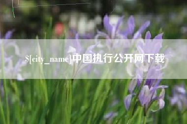 梨树县中国执行公开网下载